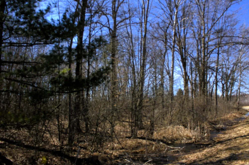 W Prairie Road Midland, MI 48640