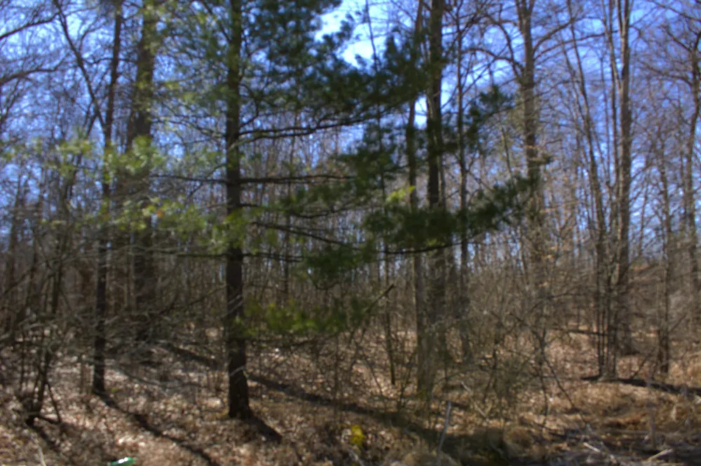 W Prairie Road Midland, MI 48640
