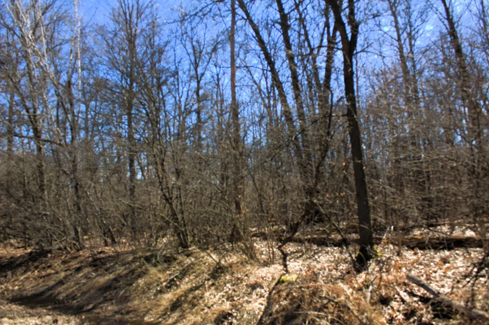 W Prairie Road Midland, MI 48640