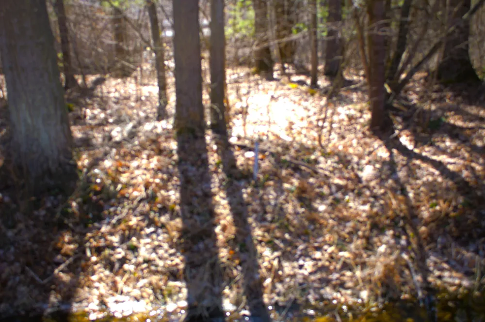 W Prairie Road Midland, MI 48640