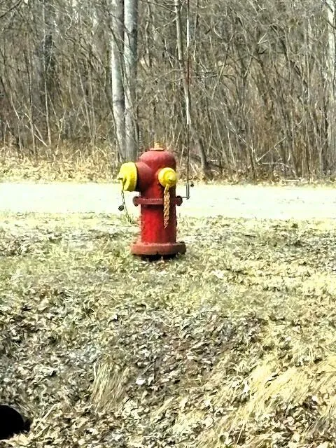W Prairie Road Midland, MI 48640