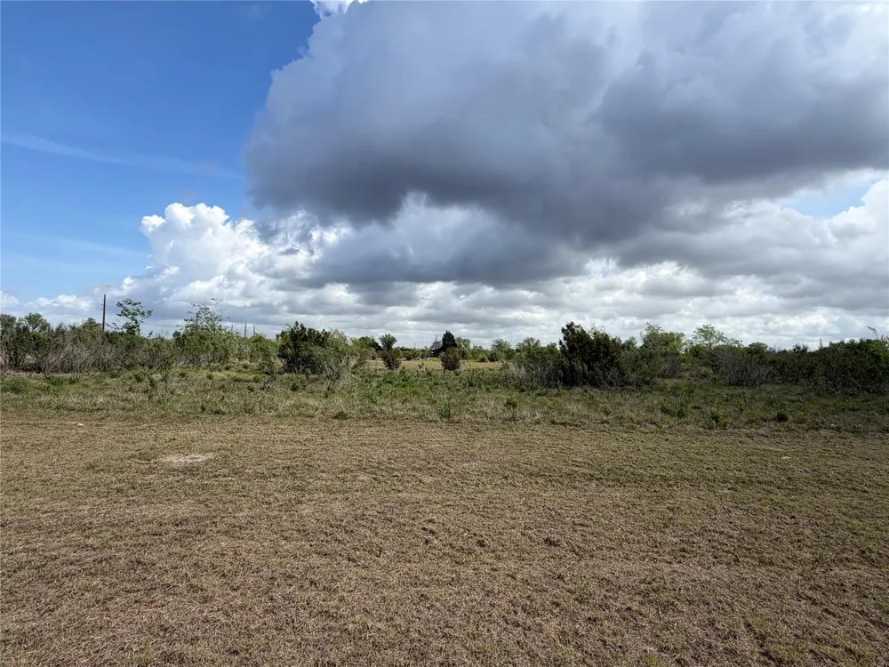 10318 County Road 67 Manvel, TX 77578