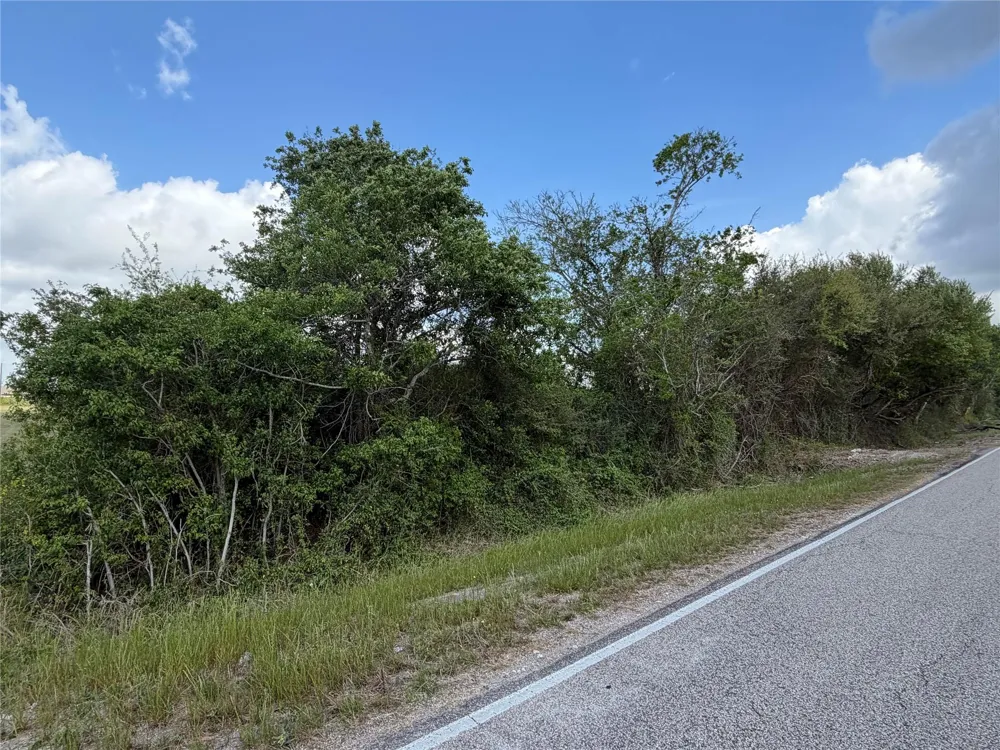 10318 County Road 67 Manvel, TX 77578