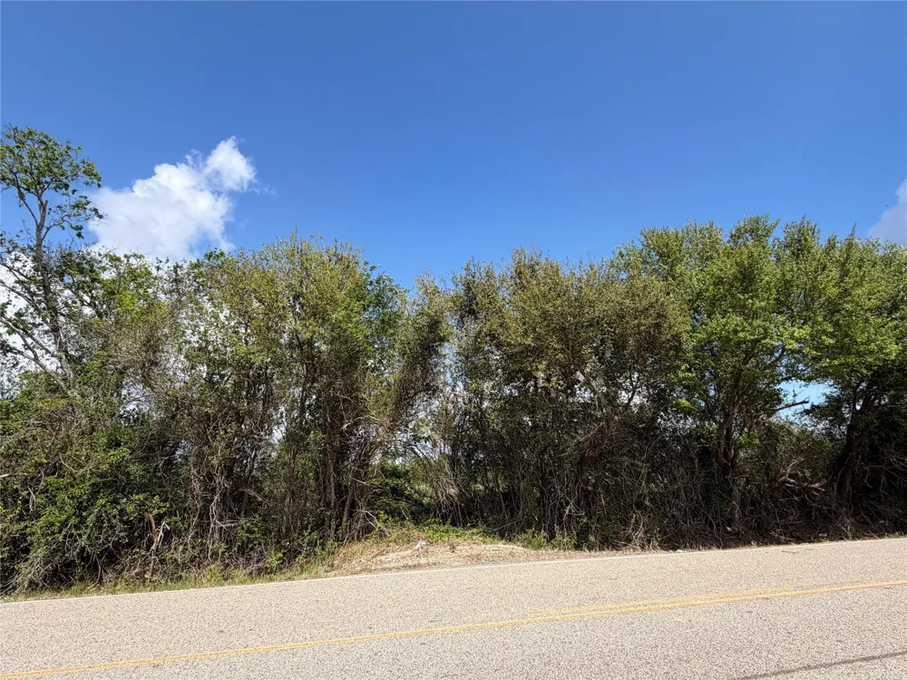 10318 County Road 67 Manvel, TX 77578