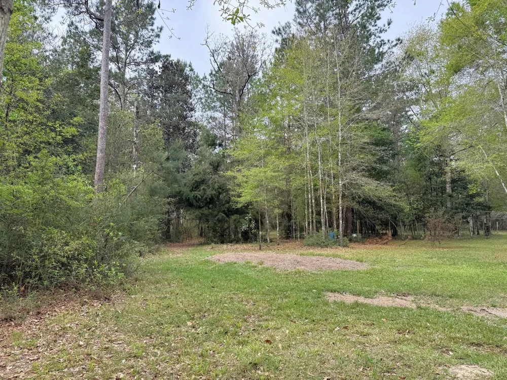 297 County Road 4479 Warren, TX 77664