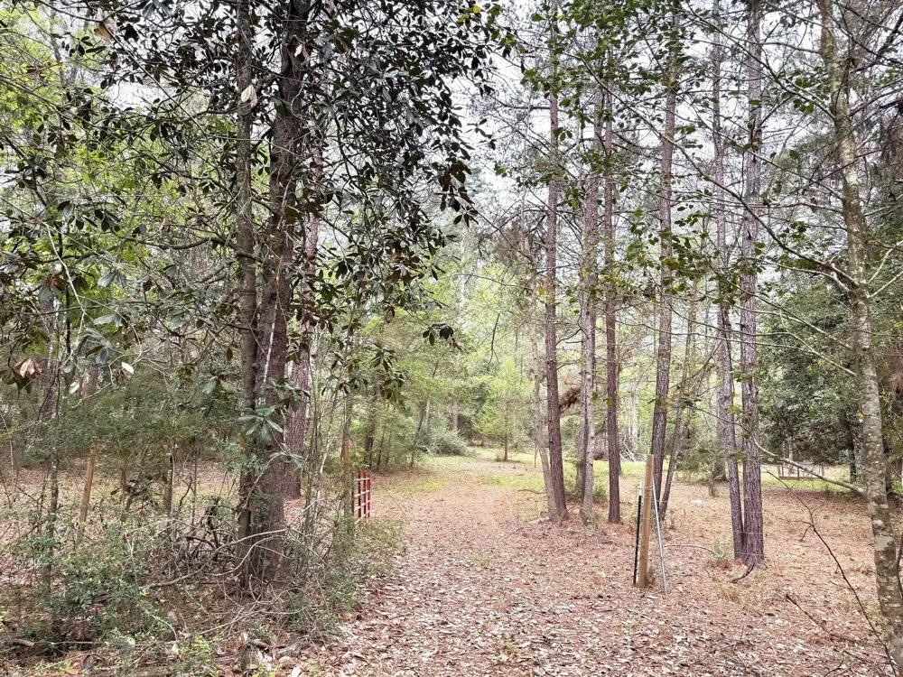297 County Road 4479 Warren, TX 77664
