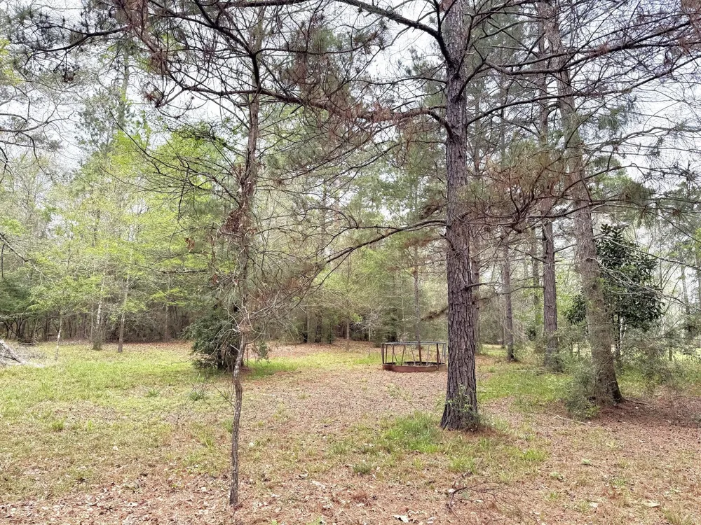 297 County Road 4479 Warren, TX 77664