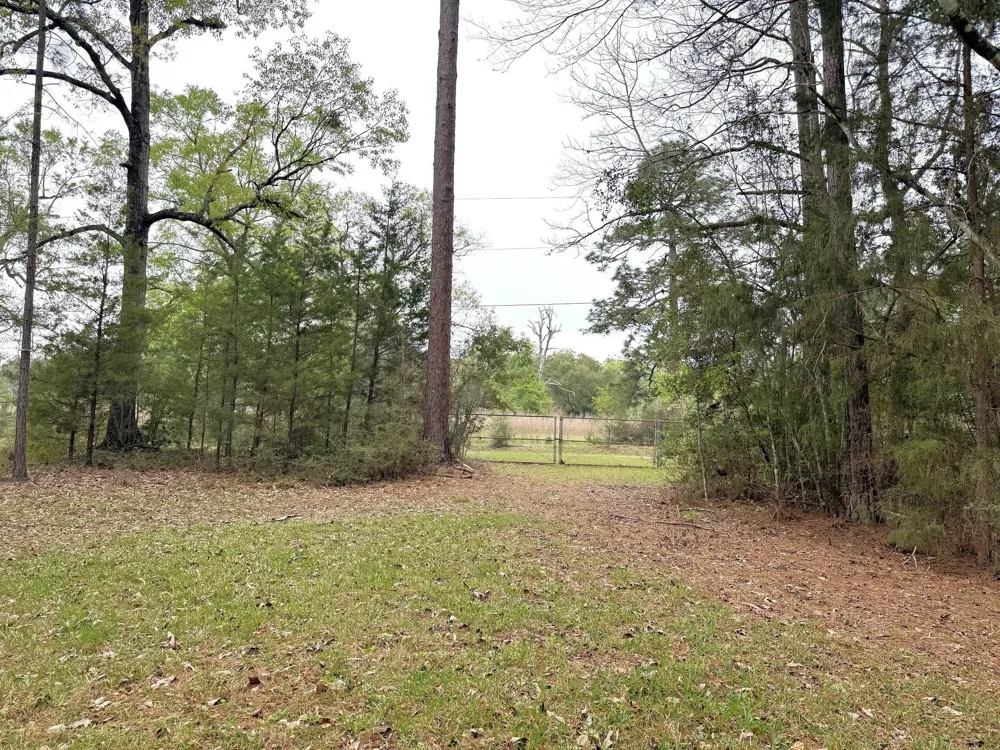 297 County Road 4479 Warren, TX 77664