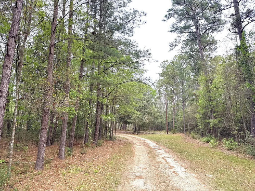 297 County Road 4479 Warren, TX 77664