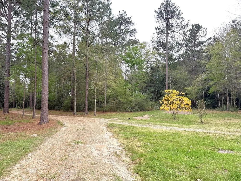 297 County Road 4479 Warren, TX 77664