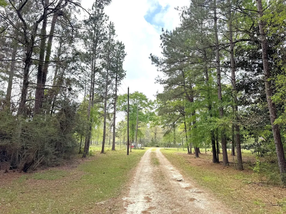 297 County Road 4479 Warren, TX 77664