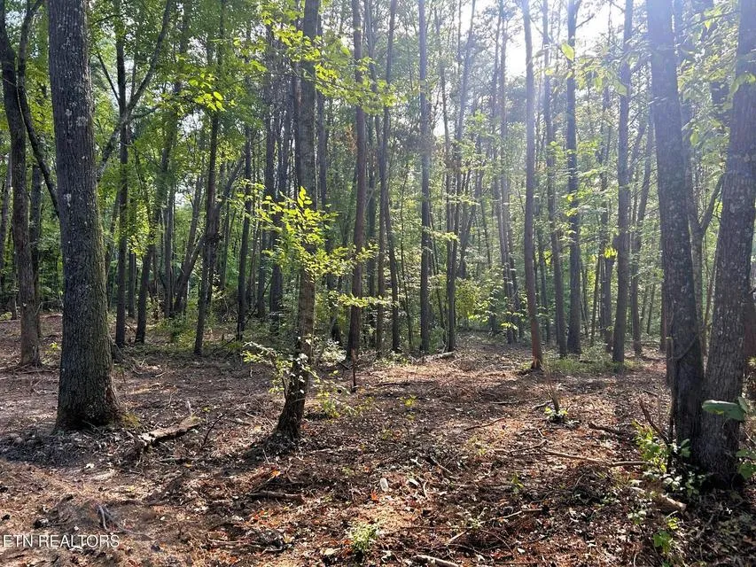 5 Pleasant Hill Road Ten Mile, TN 37880