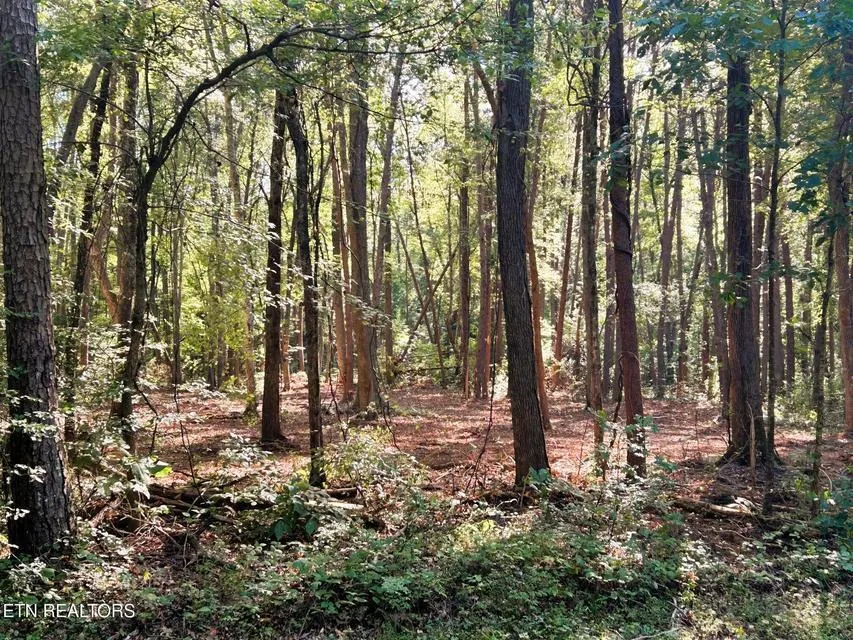 5 Pleasant Hill Road Ten Mile, TN 37880