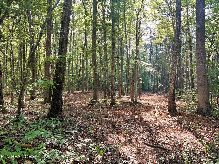 5 Pleasant Hill Road Ten Mile, TN 37880