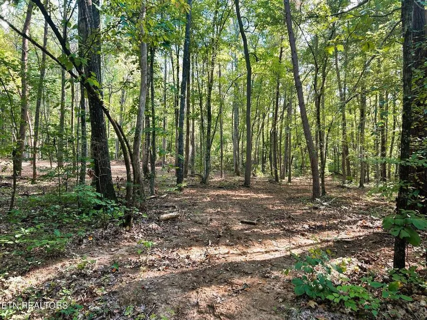 5 Pleasant Hill Road Ten Mile, TN 37880