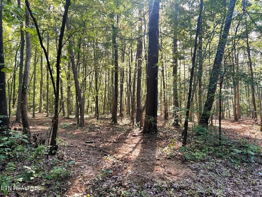 5 Pleasant Hill Road Ten Mile, TN 37880