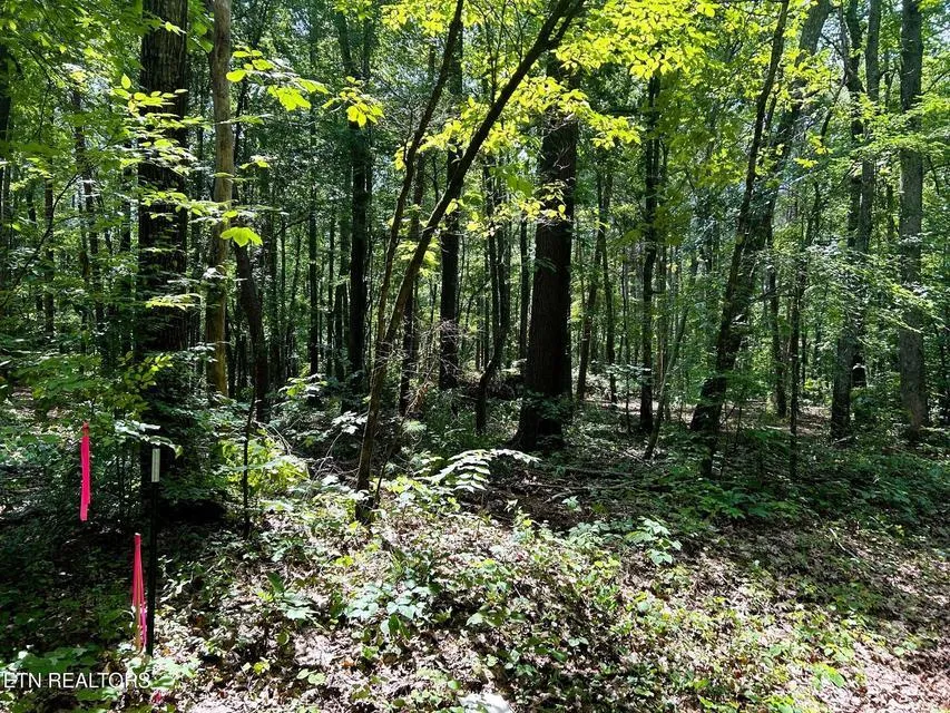5 Pleasant Hill Road Ten Mile, TN 37880