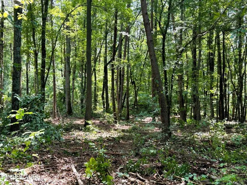 5 Pleasant Hill Road Ten Mile, TN 37880