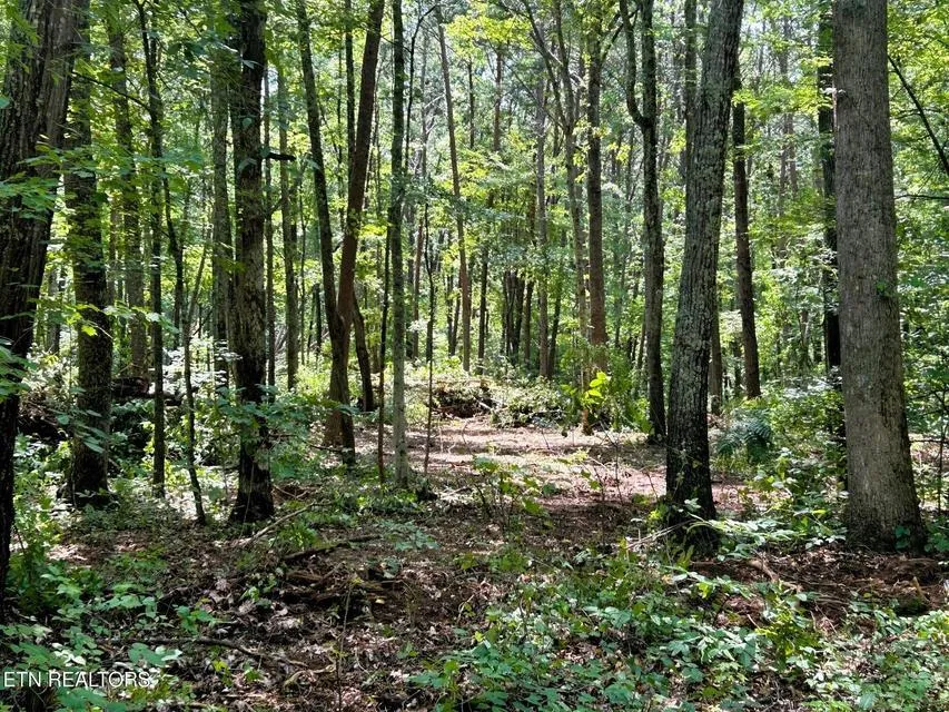 5 Pleasant Hill Road Ten Mile, TN 37880