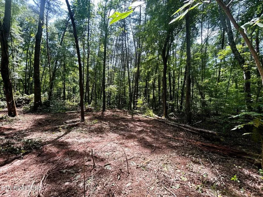 5 Pleasant Hill Road Ten Mile, TN 37880