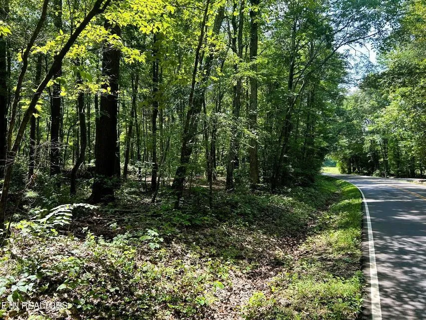5 Pleasant Hill Road Ten Mile, TN 37880