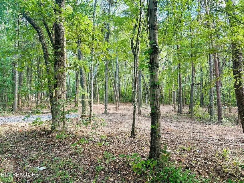 5 Pleasant Hill Road Ten Mile, TN 37880