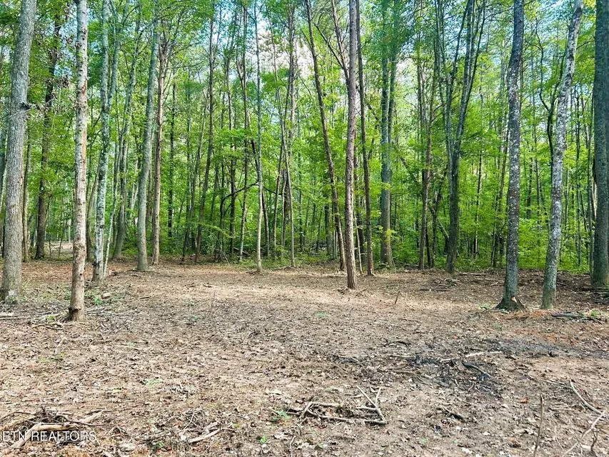 5 Pleasant Hill Road Ten Mile, TN 37880