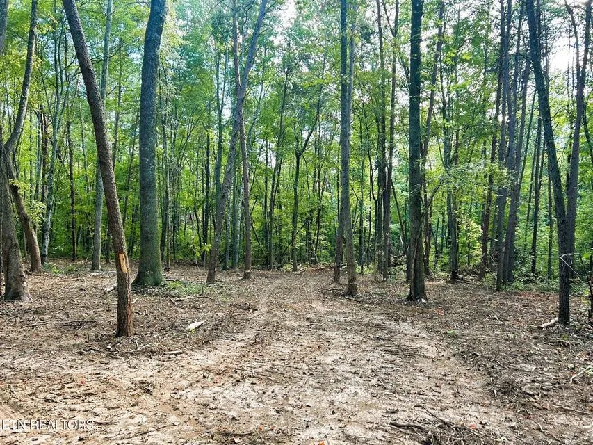 5 Pleasant Hill Road Ten Mile, TN 37880