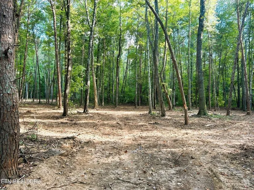 5 Pleasant Hill Road Ten Mile, TN 37880