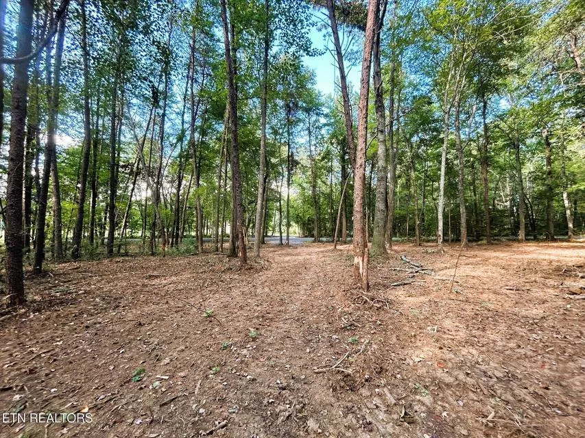 5 Pleasant Hill Road Ten Mile, TN 37880
