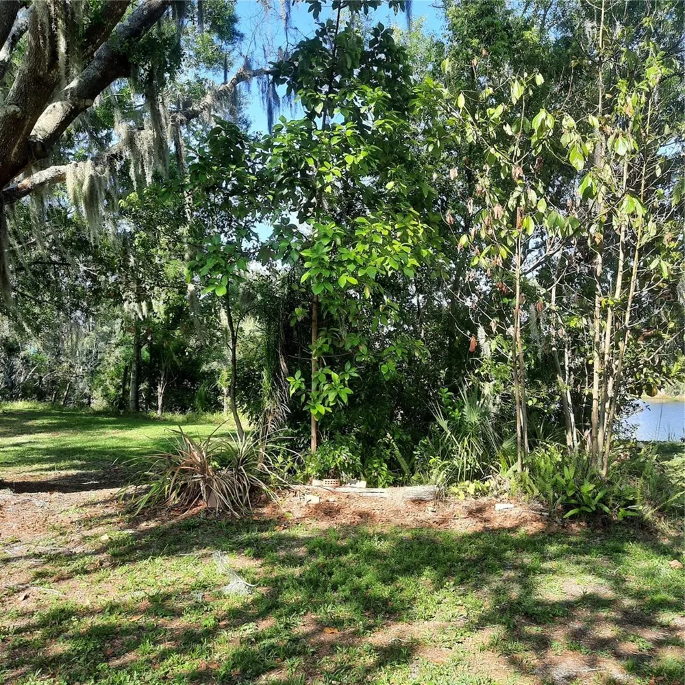 10502 HINDS PLACE Odessa, FL 33556