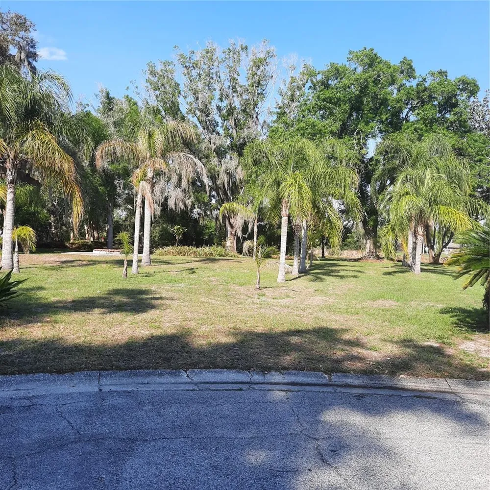 10502 HINDS PLACE Odessa, FL 33556