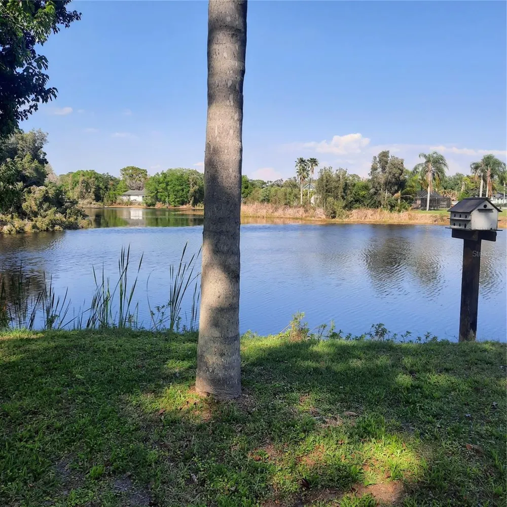 10502 HINDS PLACE Odessa, FL 33556