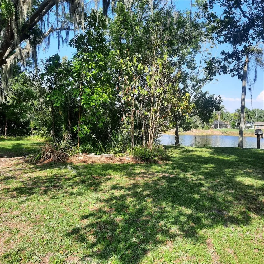 10502 HINDS PLACE Odessa, FL 33556