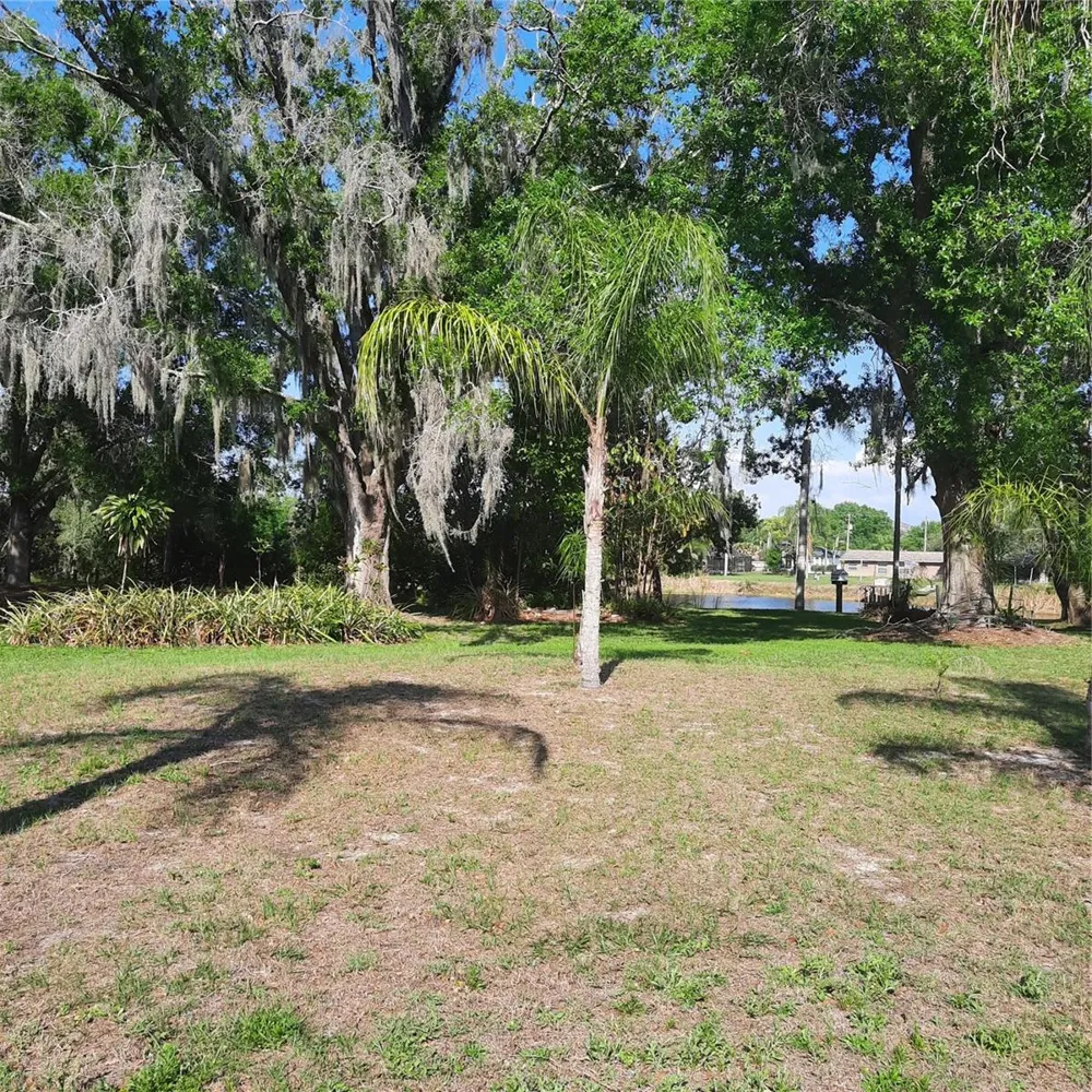 10502 HINDS PLACE Odessa, FL 33556