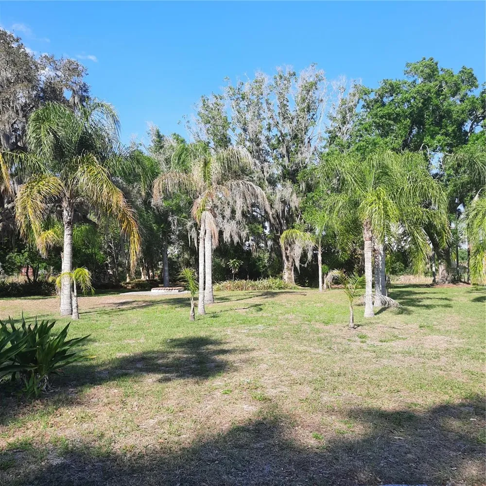 10502 HINDS PLACE Odessa, FL 33556