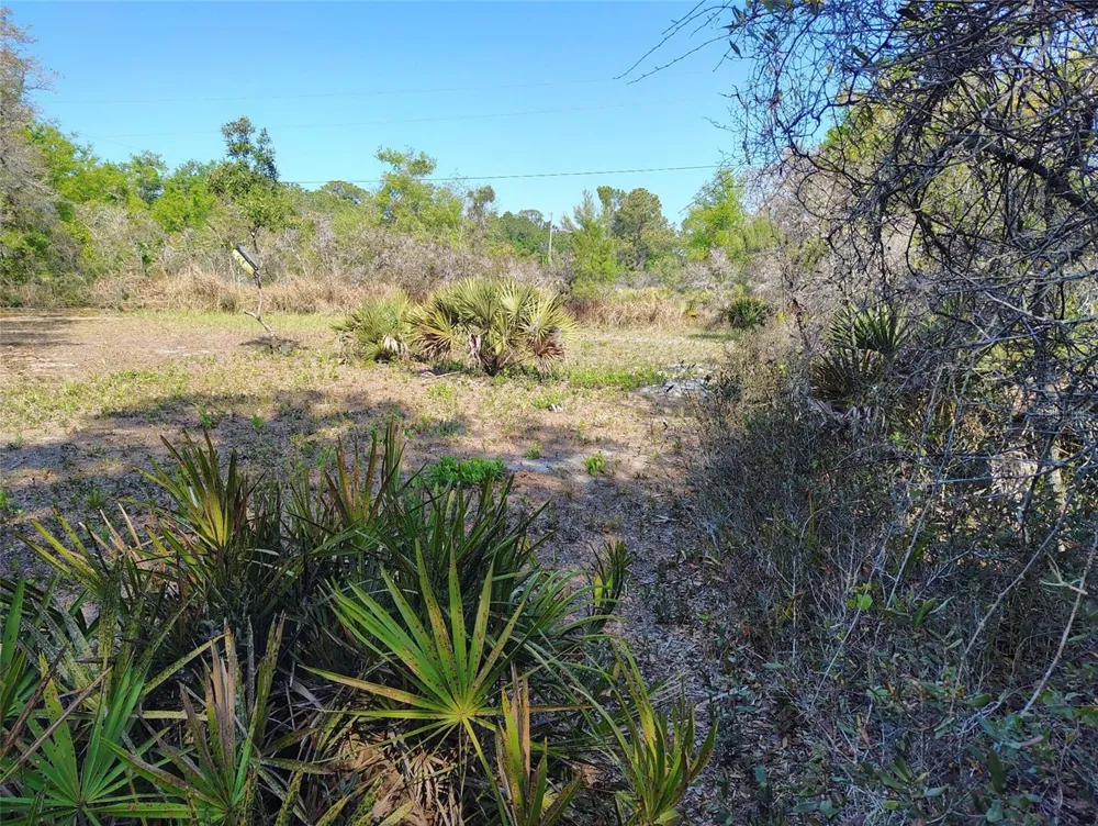 1873 W FOXGLOVE ROAD Avon Park, FL 33825