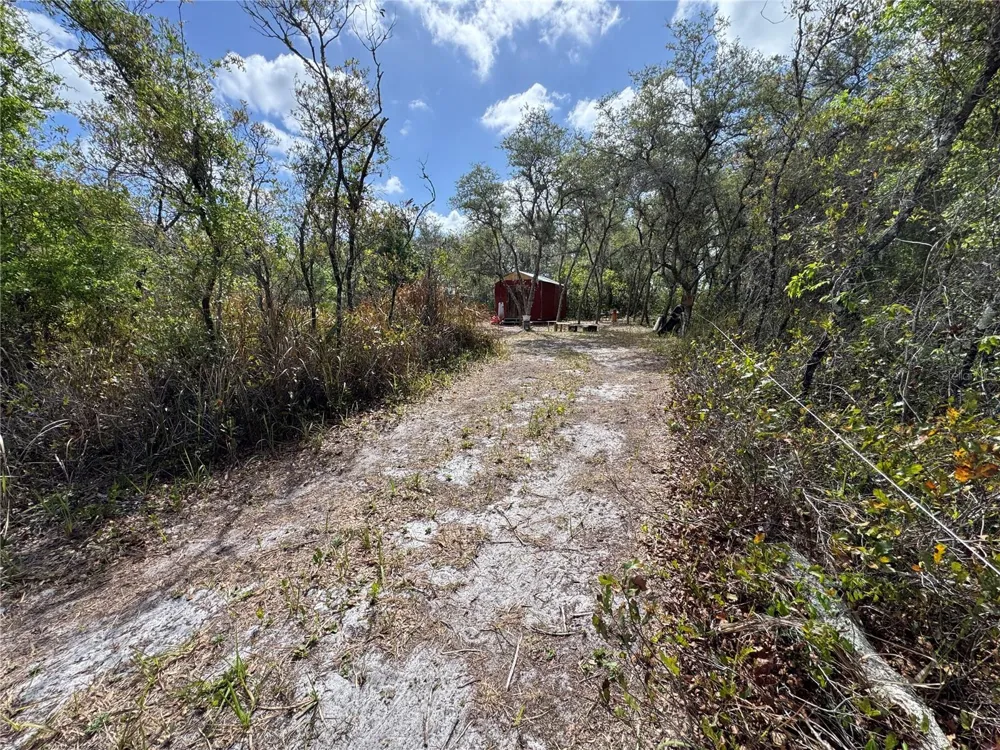 1873 W FOXGLOVE ROAD Avon Park, FL 33825