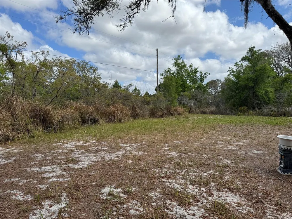 1873 W FOXGLOVE ROAD Avon Park, FL 33825