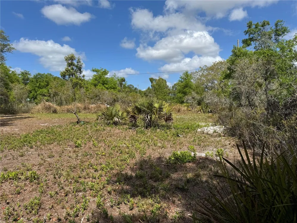 1873 W FOXGLOVE ROAD Avon Park, FL 33825