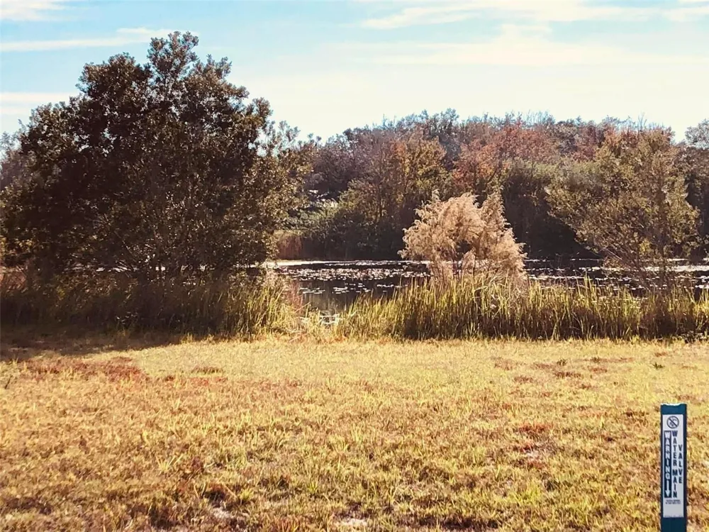 1873 W FOXGLOVE ROAD Avon Park, FL 33825