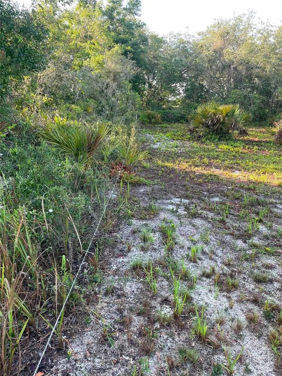 1873 W FOXGLOVE ROAD Avon Park, FL 33825