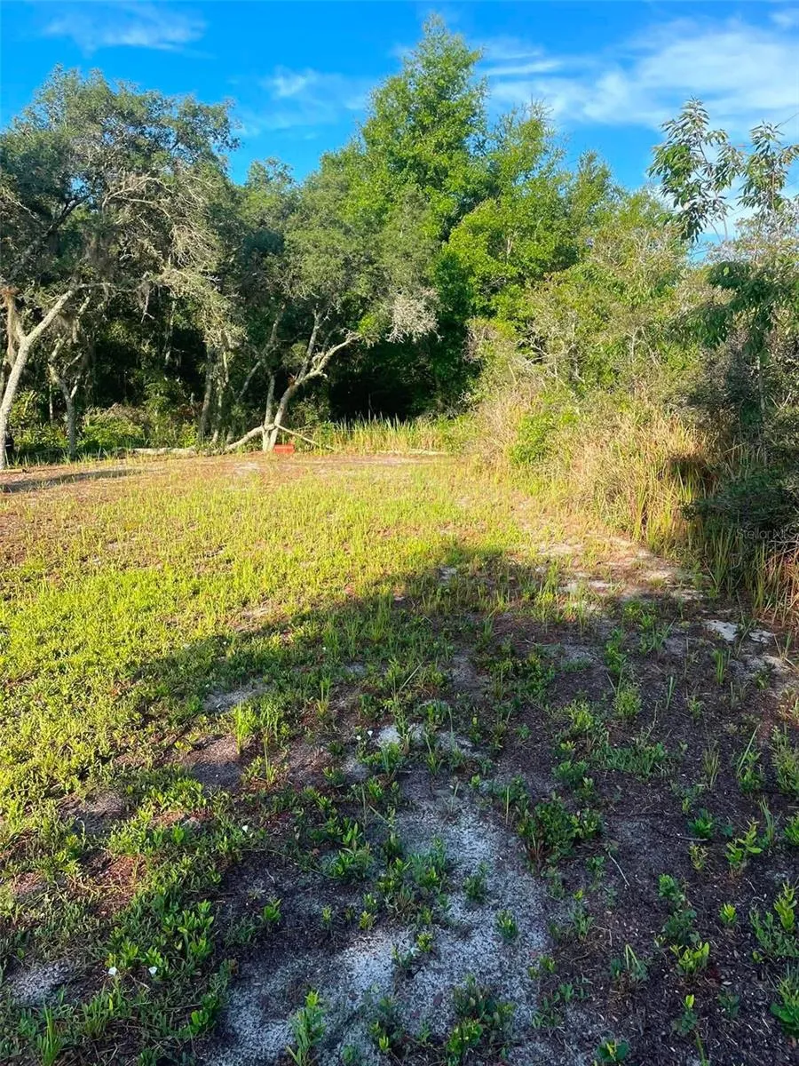 1873 W FOXGLOVE ROAD Avon Park, FL 33825