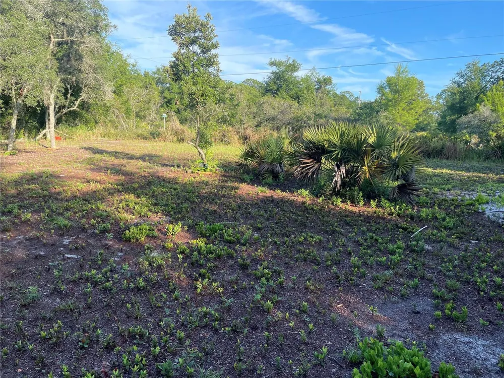 1873 W FOXGLOVE ROAD Avon Park, FL 33825
