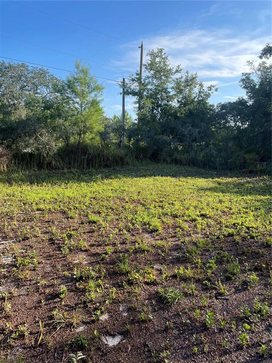 1873 W FOXGLOVE ROAD Avon Park, FL 33825