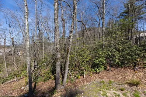 54 Ramble Ridge Road