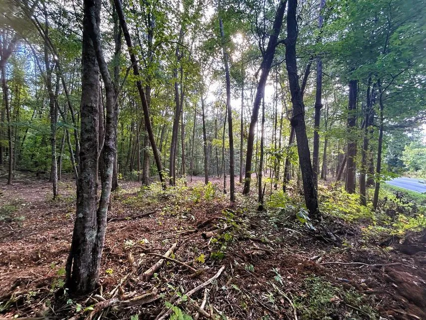 4 Pleasant Hill Road Ten Mile, TN 37880