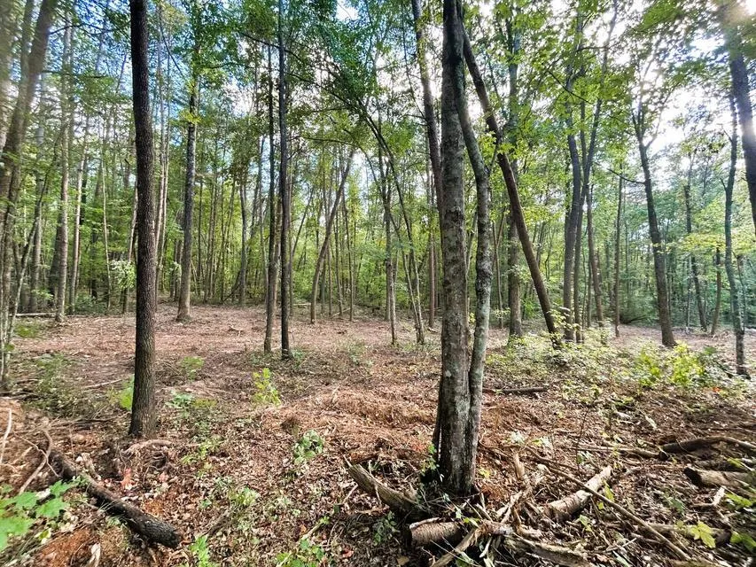 4 Pleasant Hill Road Ten Mile, TN 37880