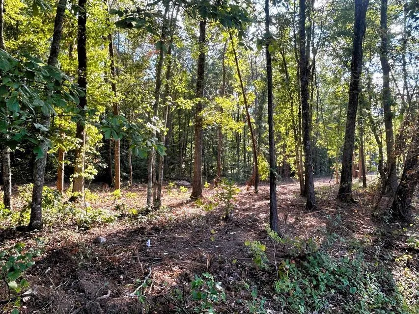 4 Pleasant Hill Road Ten Mile, TN 37880