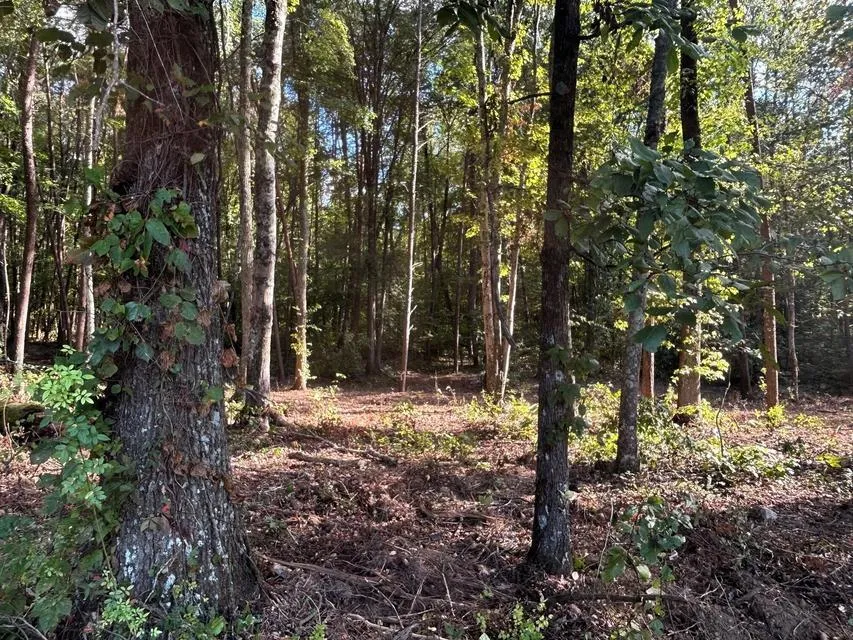 4 Pleasant Hill Road Ten Mile, TN 37880
